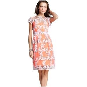 Nanette Lepore Women’s dress lilac lace over bright coral, Size 4